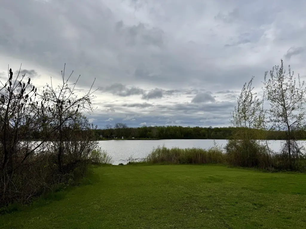 Picture 16