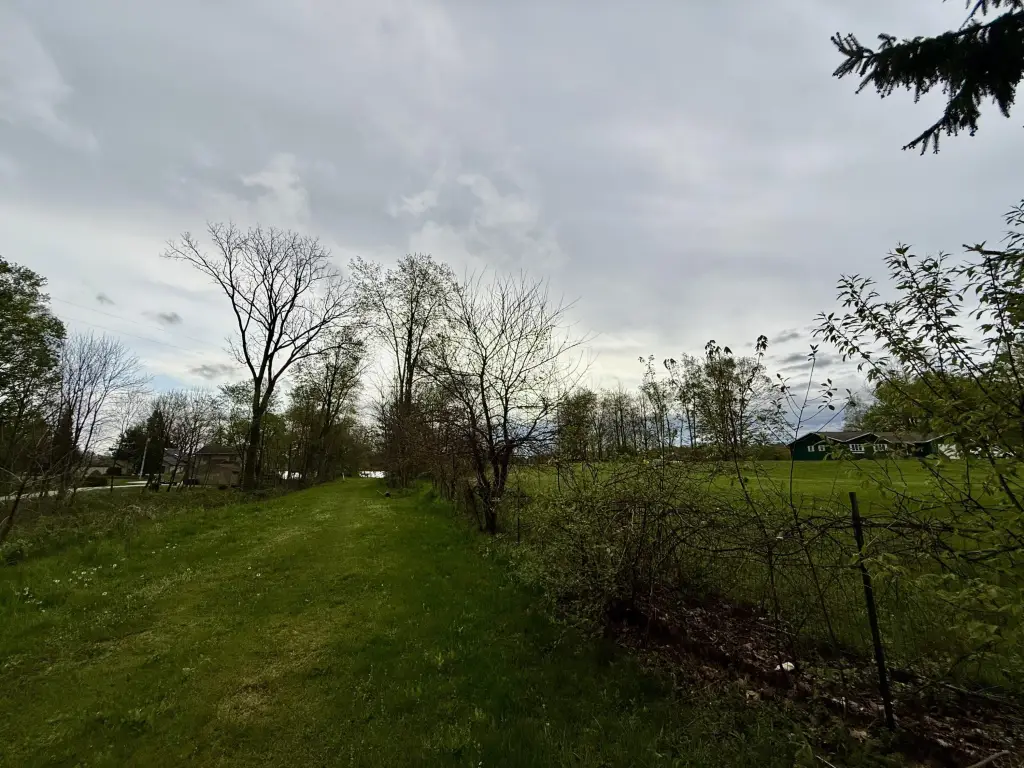 Picture 18