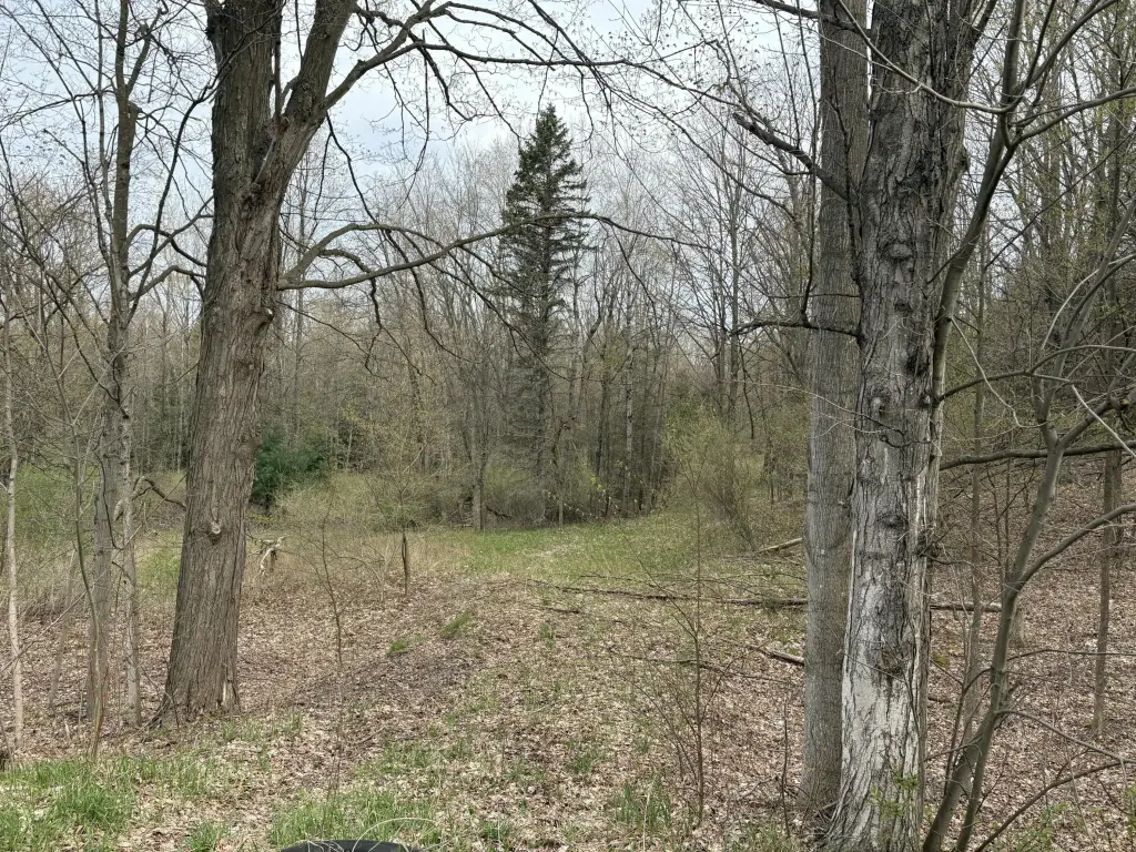 Picture 12