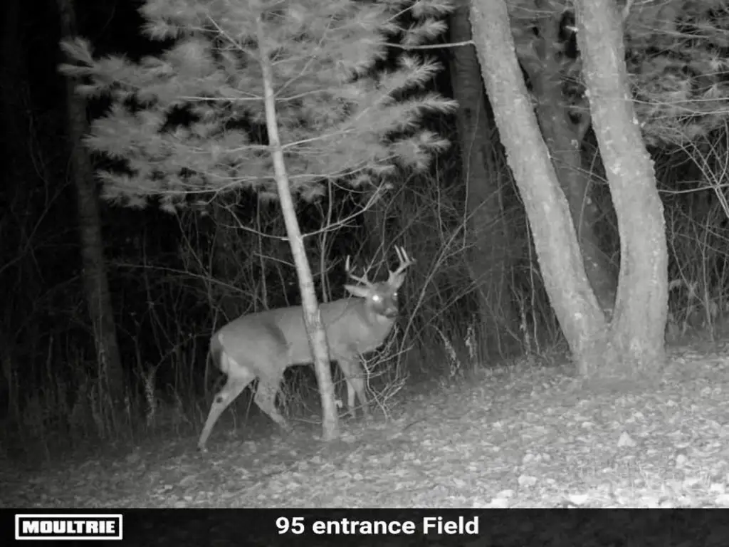 Picture 14