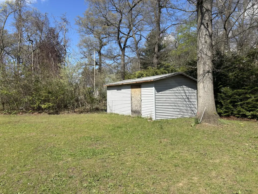 Picture 27