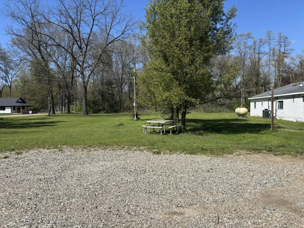 Picture 5