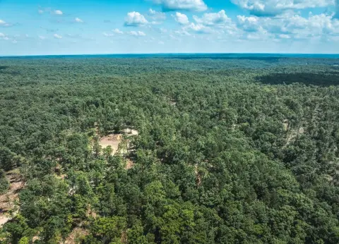 24 Acres Hunting Land in Ellington