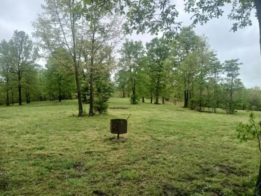 Picture 46