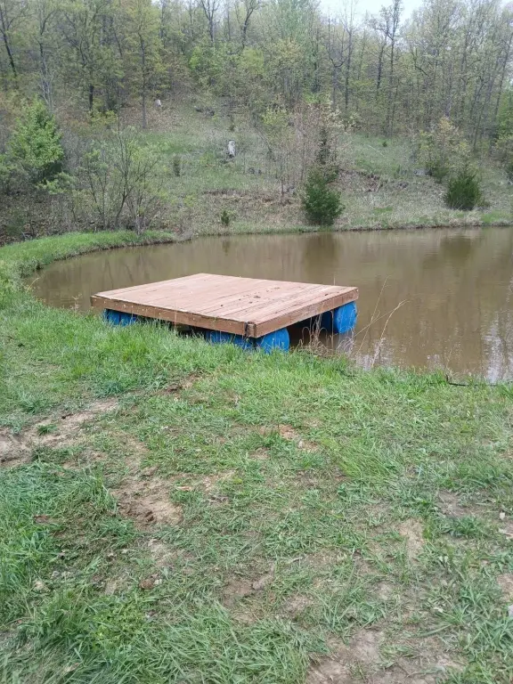 Picture 12