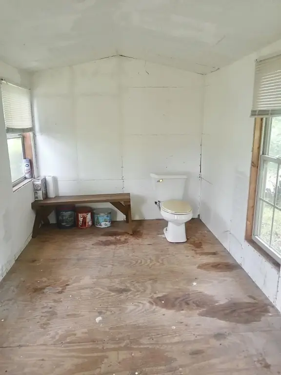 Picture 36