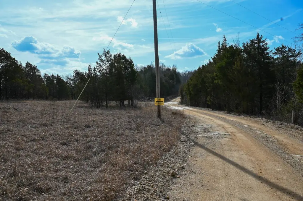 Picture 21