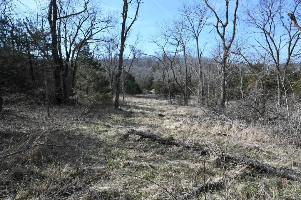 Picture 3