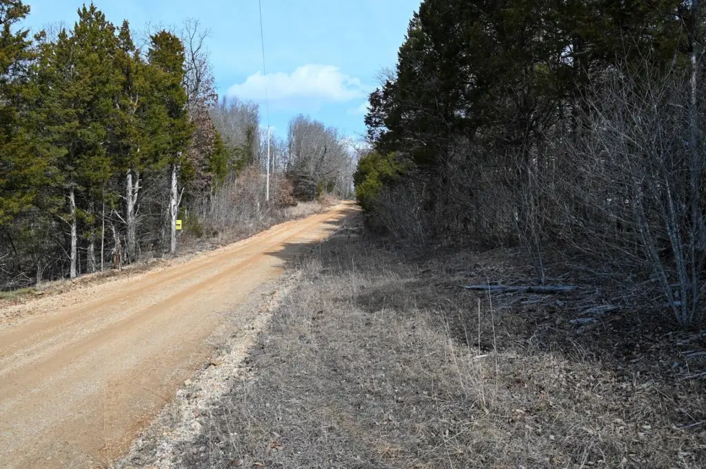 Picture 19