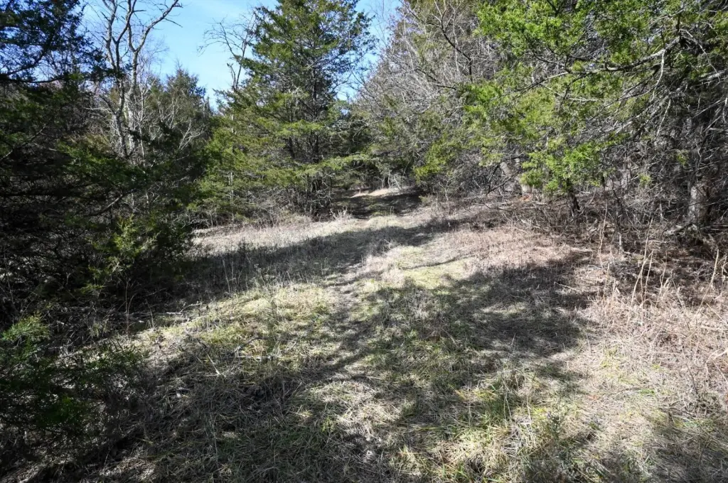 Picture 15