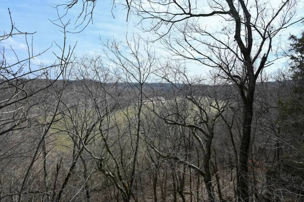 Picture 6