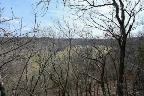 Wooded Recreational Land