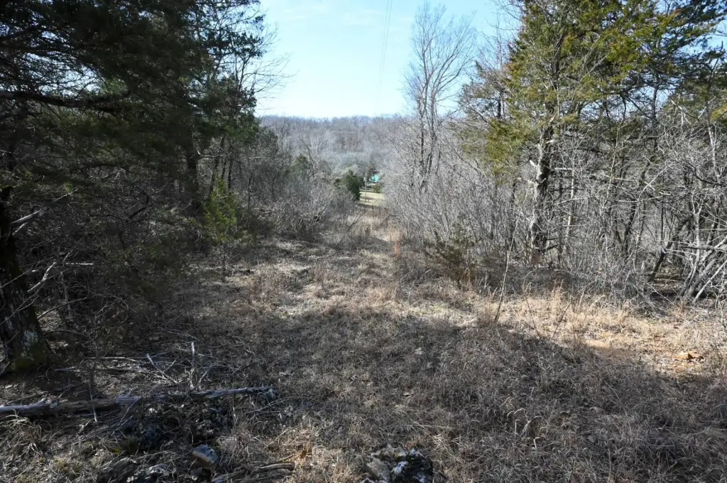 Picture 10