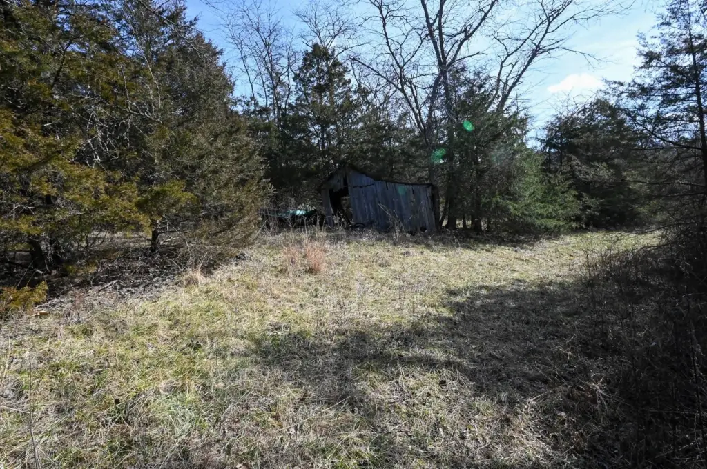 Picture 5