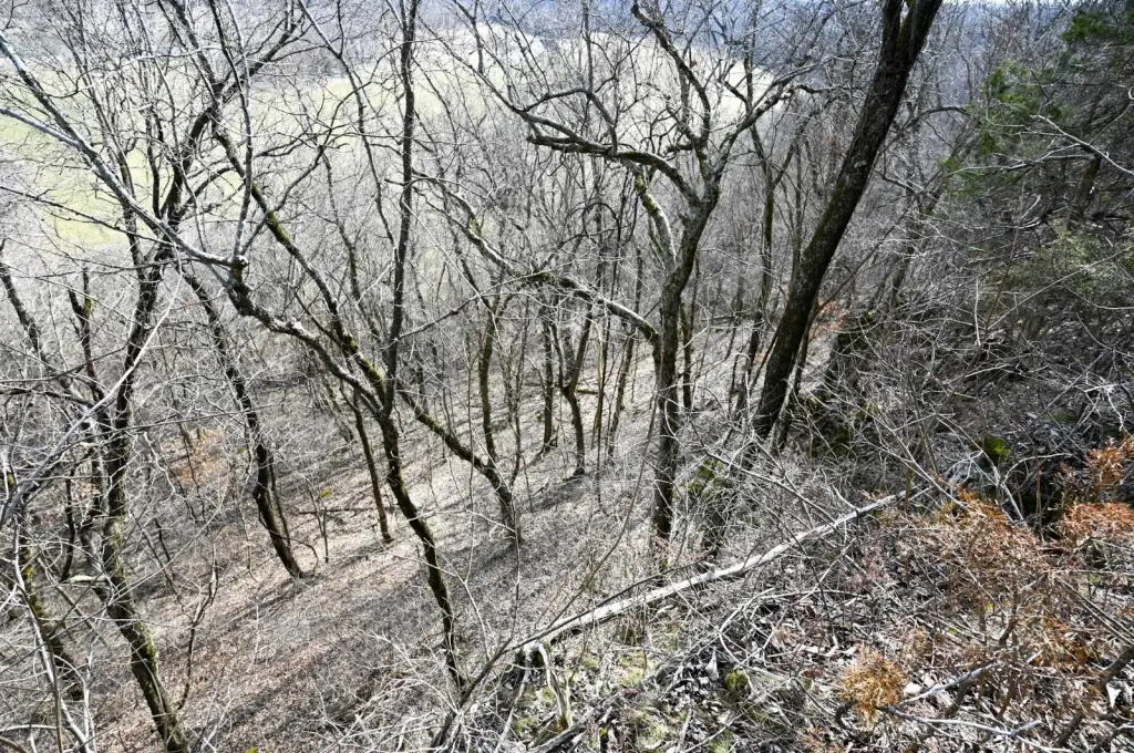 Picture 7