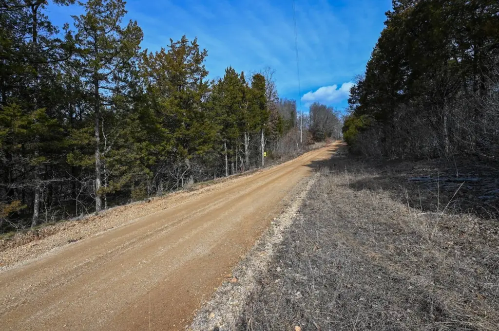Picture 20