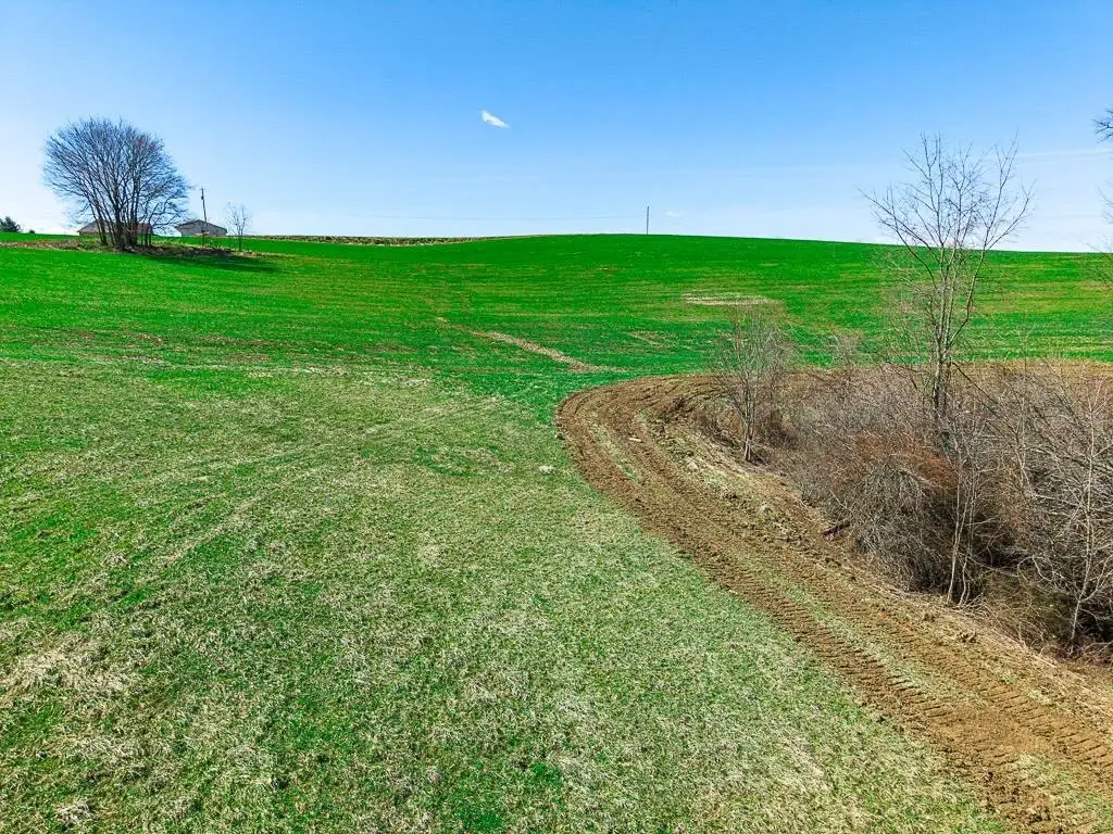 Picture 7