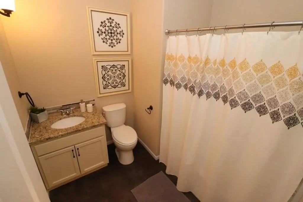 Picture 16