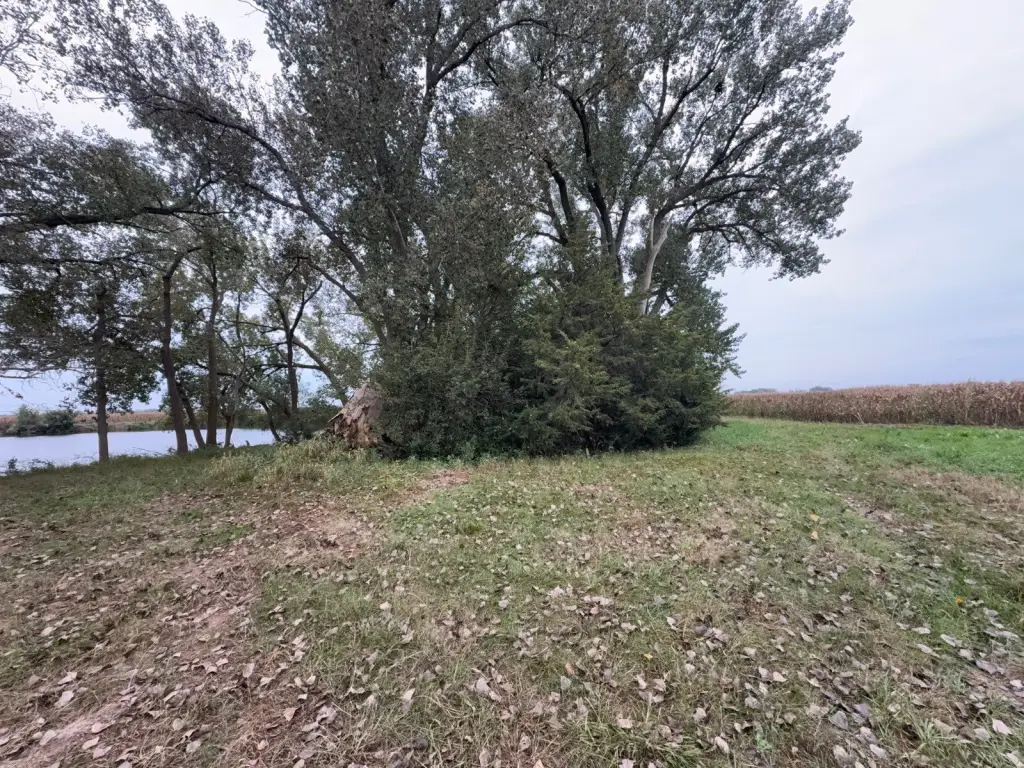Picture 10