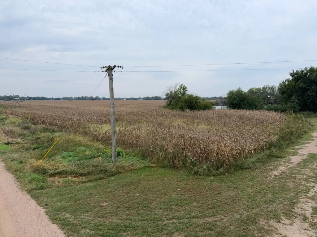 Picture 14