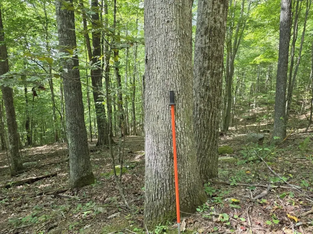 Picture 19