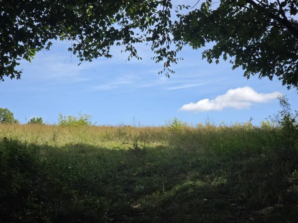 Picture 30