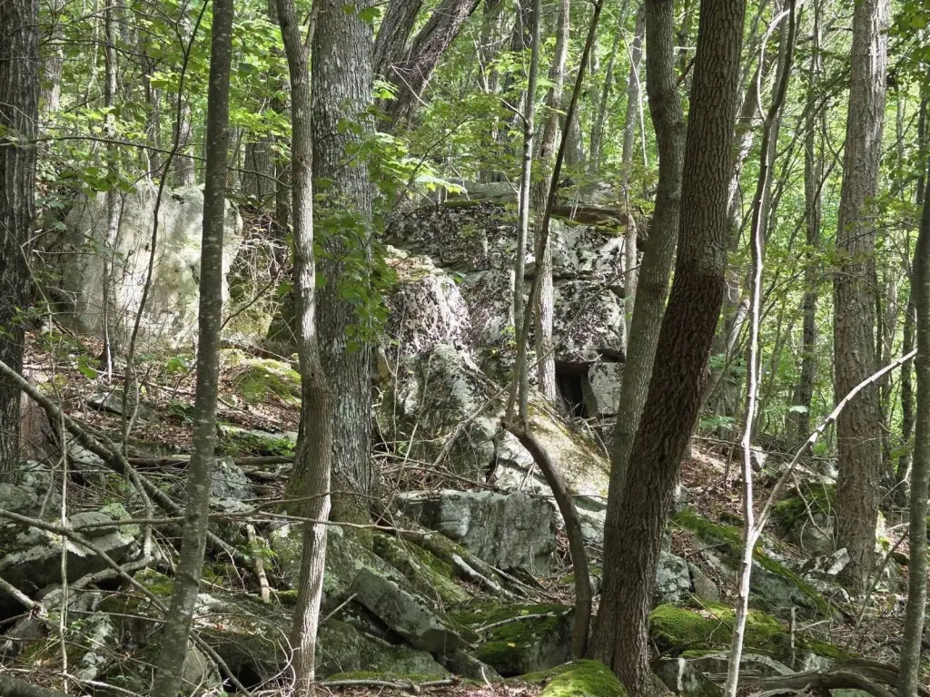 Picture 15