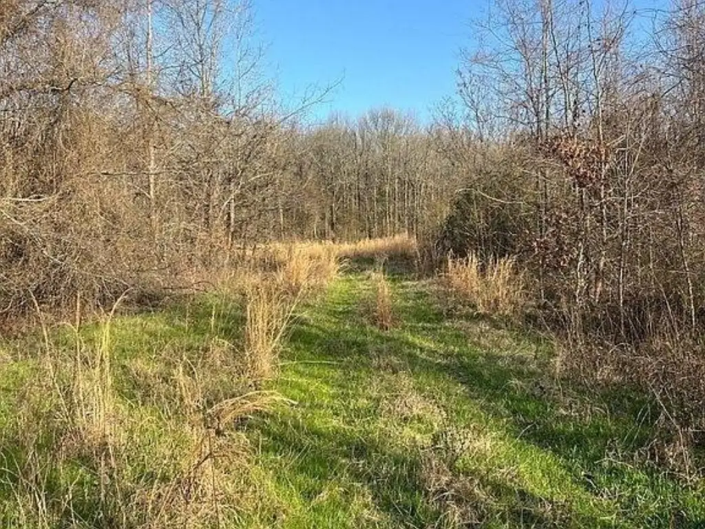 Picture 25