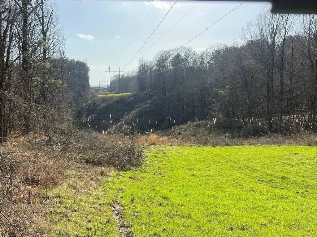 Picture 18