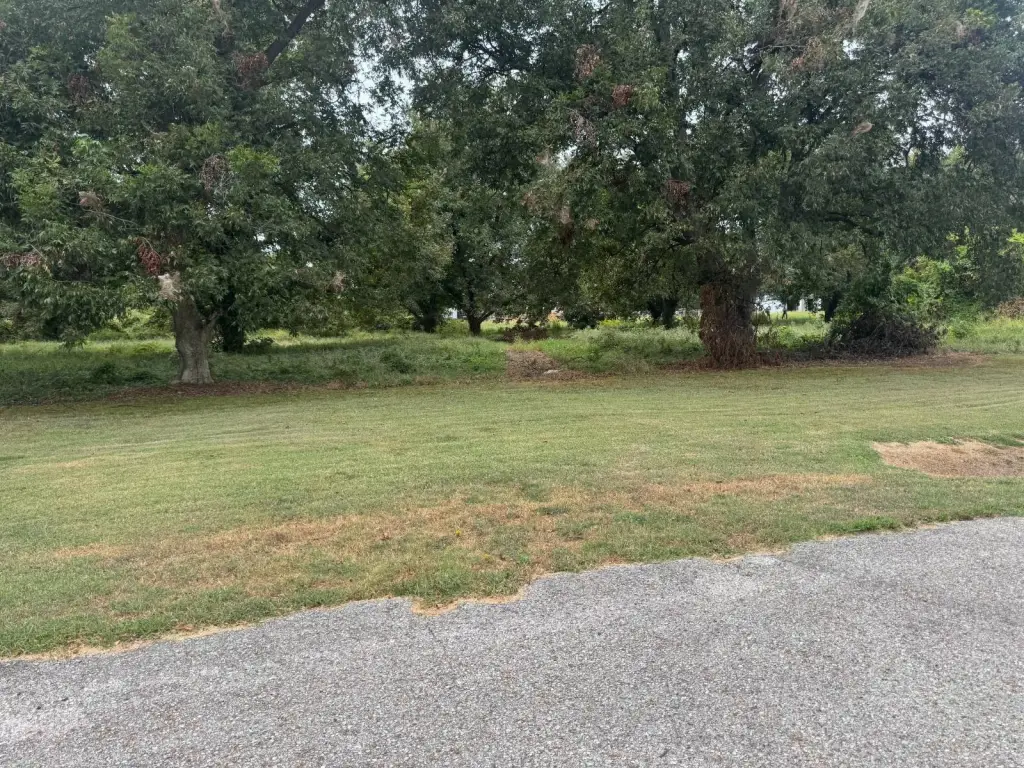 Picture 11
