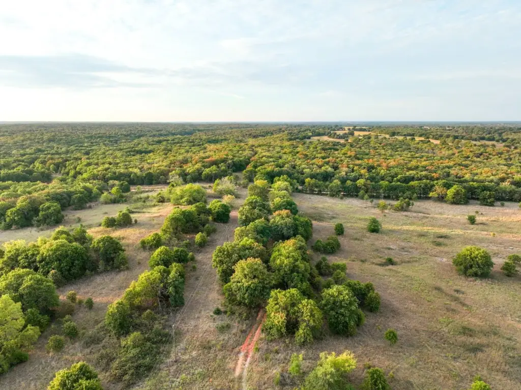 Picture 7