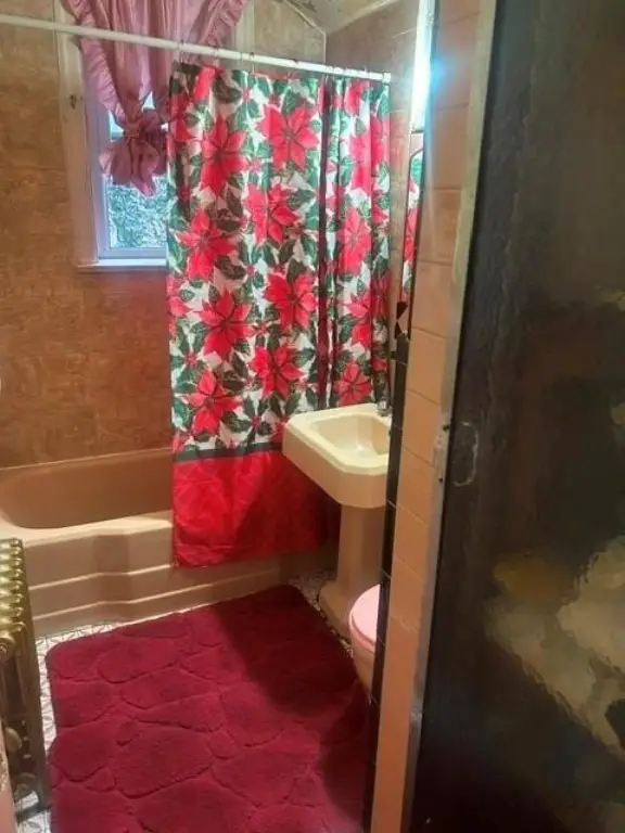 Picture 5