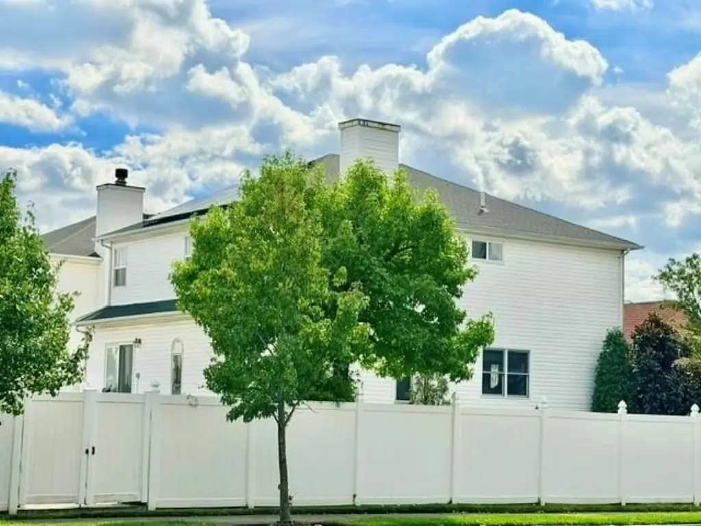 Picture 4