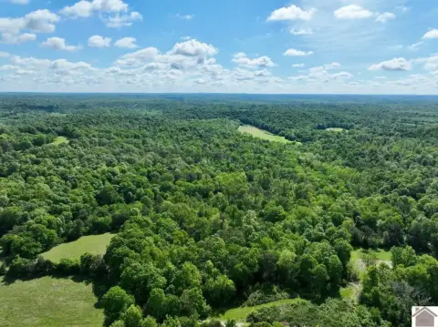 Hunting Land Near Tradewater River