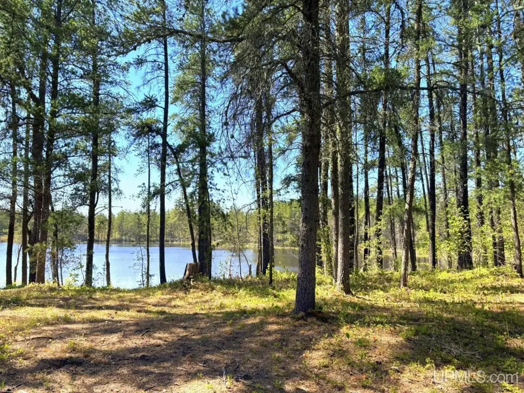 Picture 8