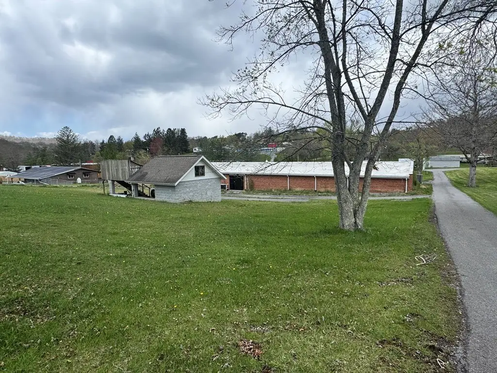 Picture 15