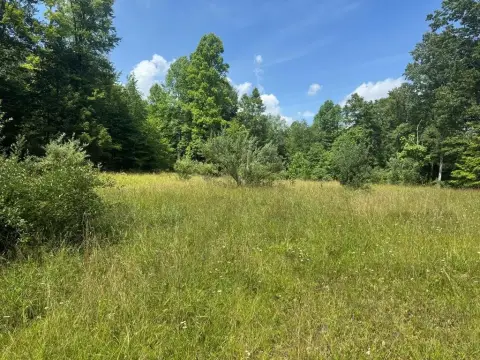 174 Acres in HICO, WV