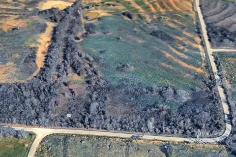 Secluded 5 Acres in Poolville