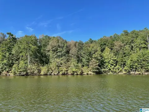 Waterfront Lot Near Wedowee