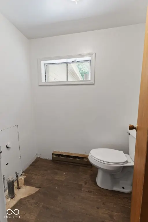 Picture 16