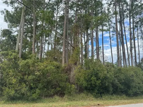 Residential Lot in Matanzas Woods