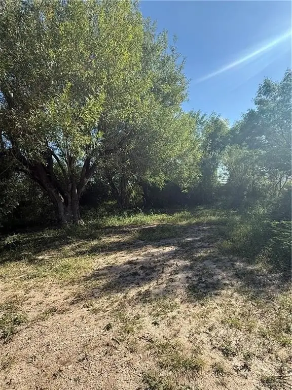 Picture 2