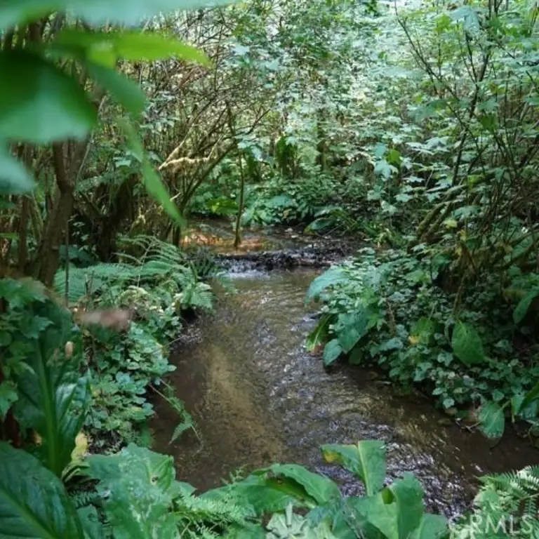Picture 45