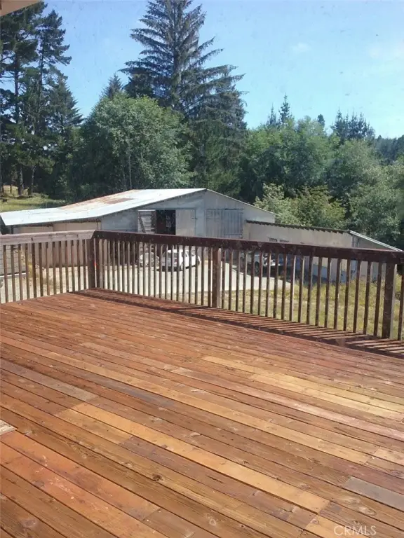 Picture 13