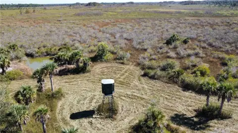 Heavily Wooded 15-Acre Recreational Land