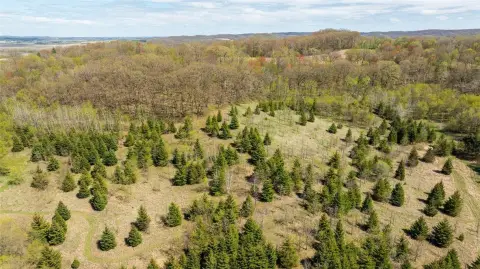 90 Acres Hunting Land with Cabin