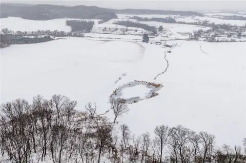 45 Acres Vacant Land Arcadia