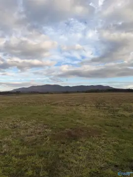 Piedmont, AL Acreage with Views