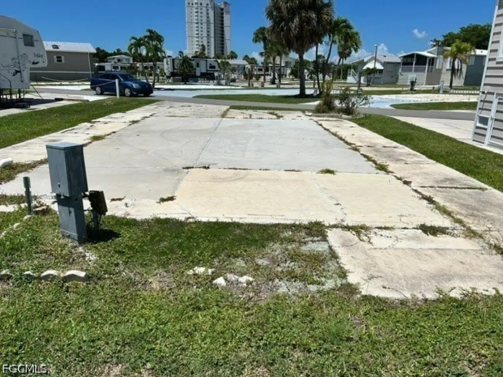 Picture 5