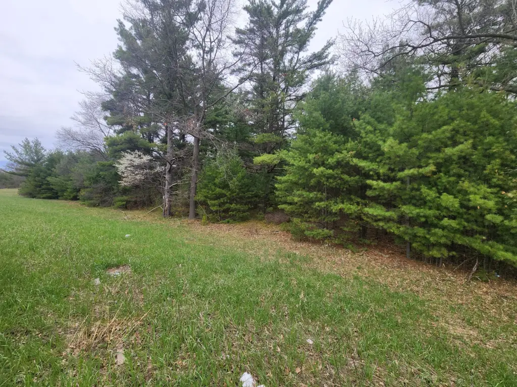 Picture 5